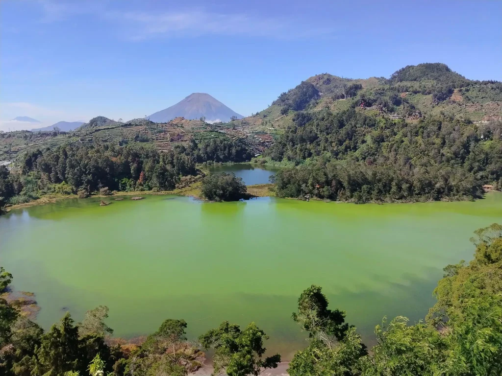 Pelajari cara menuliskan maksud gambar(buka di tab baru) https://www.w3.org/WAI/tutorials/images/decision-tree/